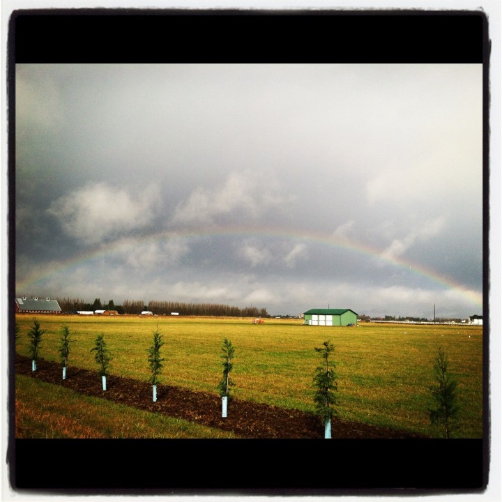 rainbowfarm