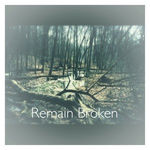 Remain Broken Blog